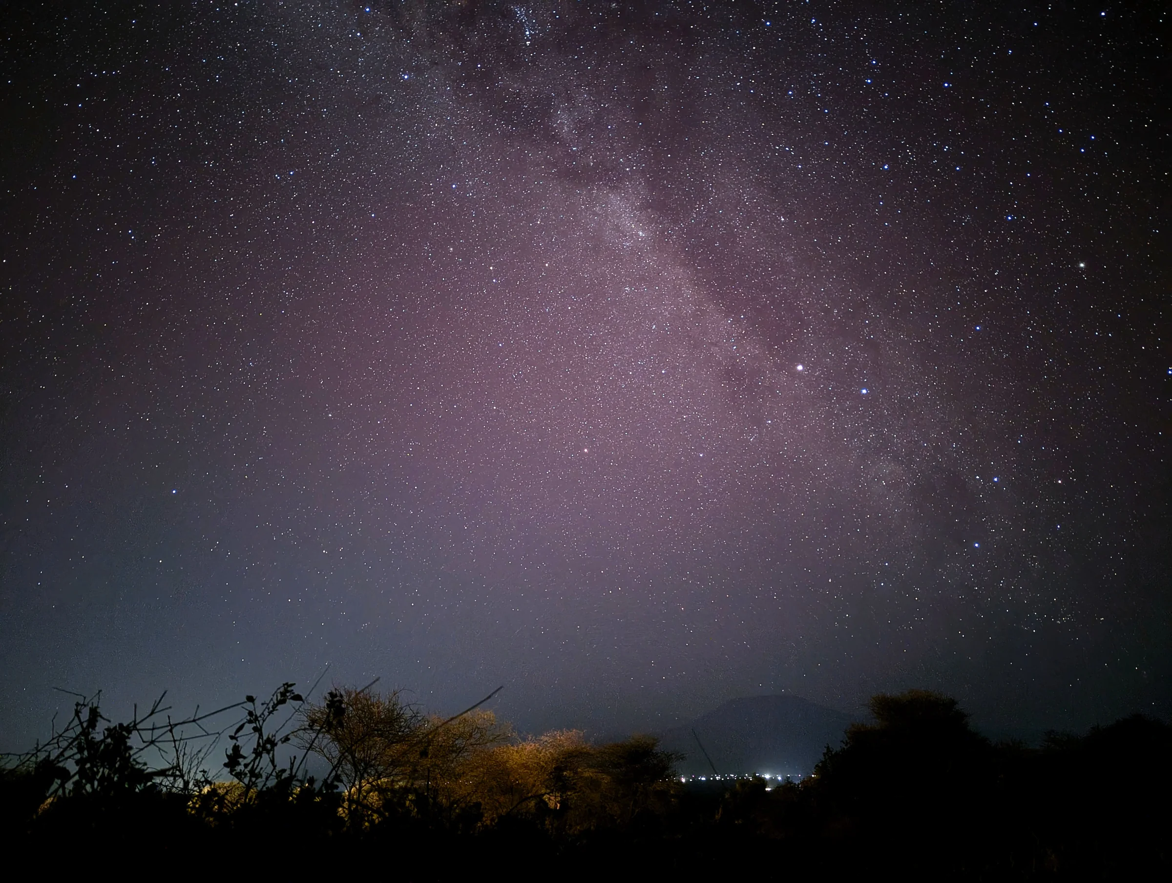 Night photo of the Milky Way arching over Kilimanjaro's silhouette, with acacia trees and lights in the foreground