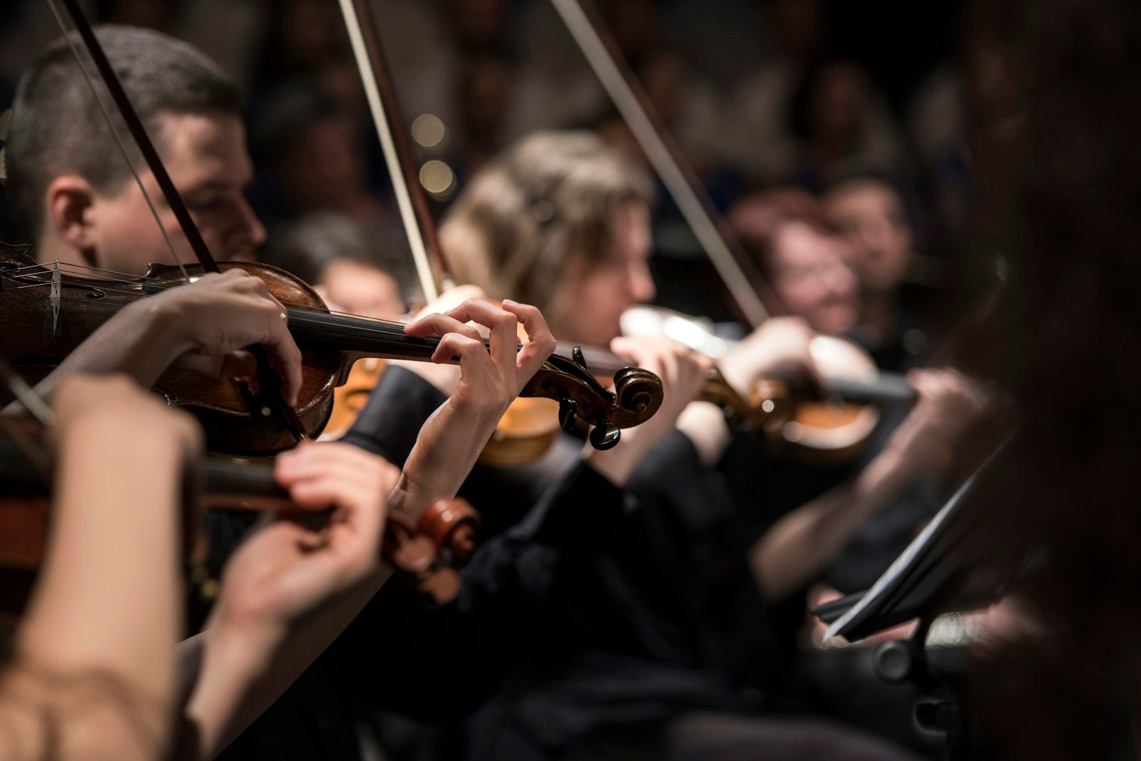 Violinists in a string ensemble playing together in a dim concert hall